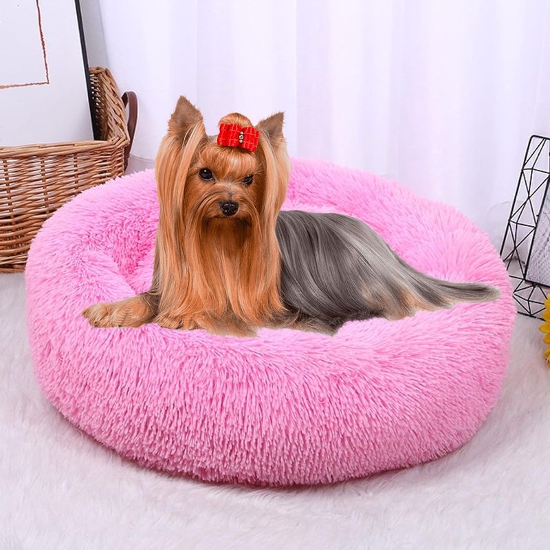 787728ROSA--2