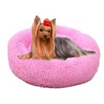 787728ROSA--4