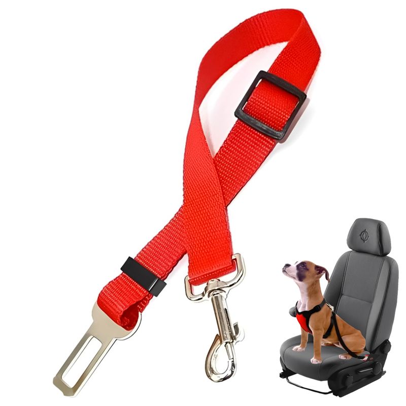 Transporte y cinturón de seguridad para perros en coche