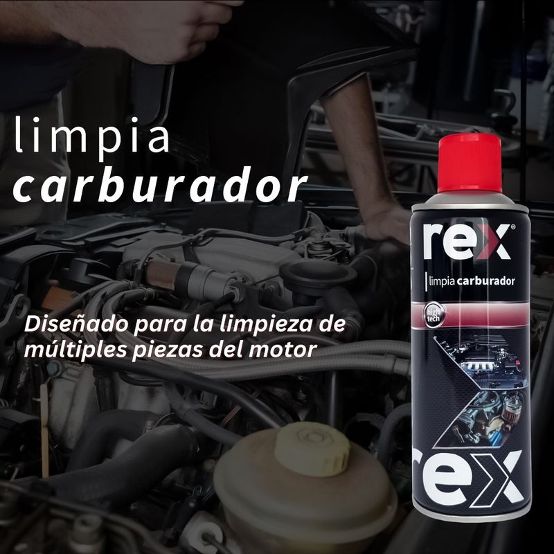 Limpia Carburador 450 ML