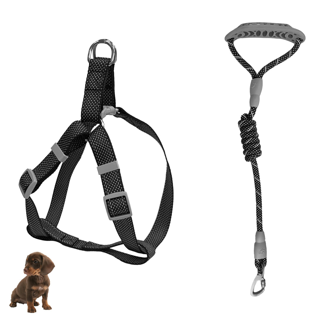 Correa Para Perro Muppets Con Caras De Cerca, Color Negro, 4