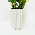 793707BLANCO-3.jpg