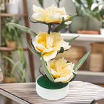 793703AMARILLO-5.jpg