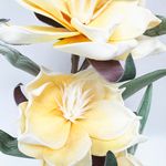 793703AMARILLO-3.jpg