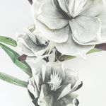 793703BLANCO-3.jpg