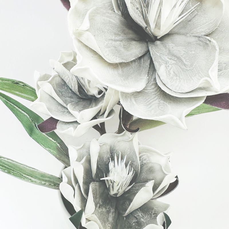 793703BLANCO-3.jpg