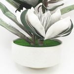 793703BLANCO-4.jpg