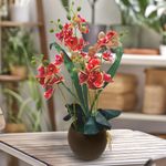 793704ROJO-3.jpg