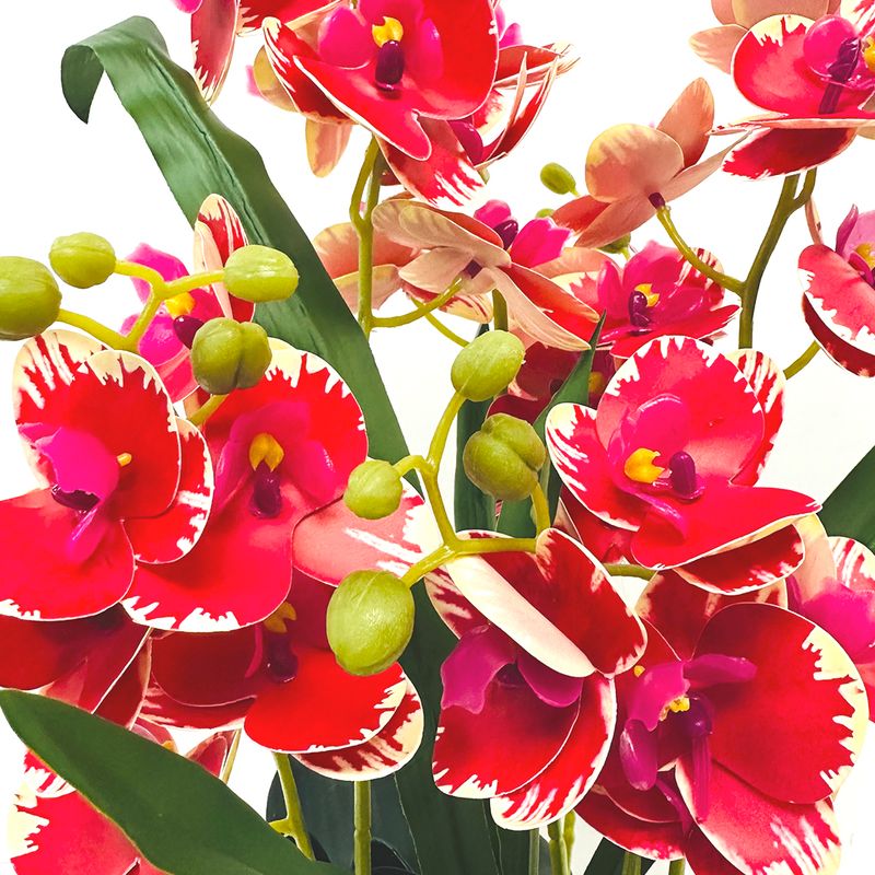 793704ROJO-4.jpg