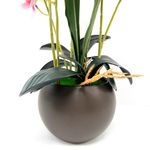793704ROSA-4.jpg