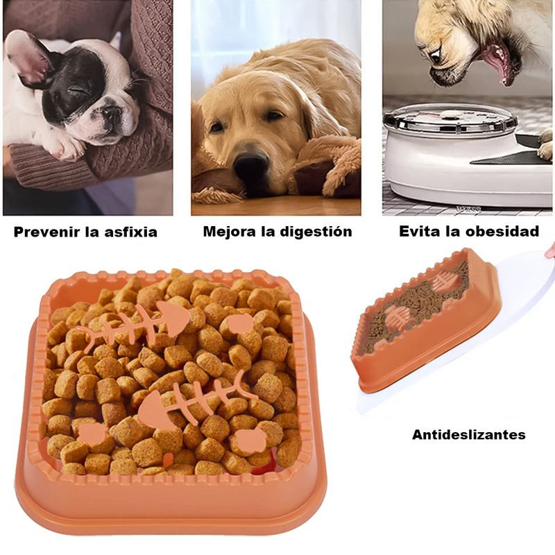 787737naranja--2.jpg