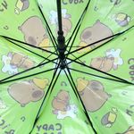 23151verde -4.jpg