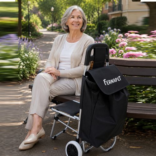 Carrito De Compras Plegable Con Silla Feria
